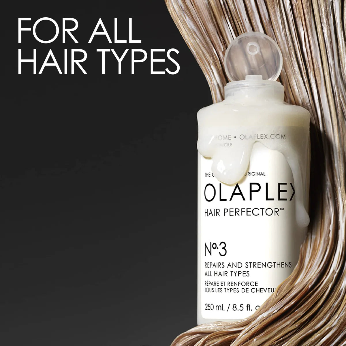 No. 3 Hair Perfector