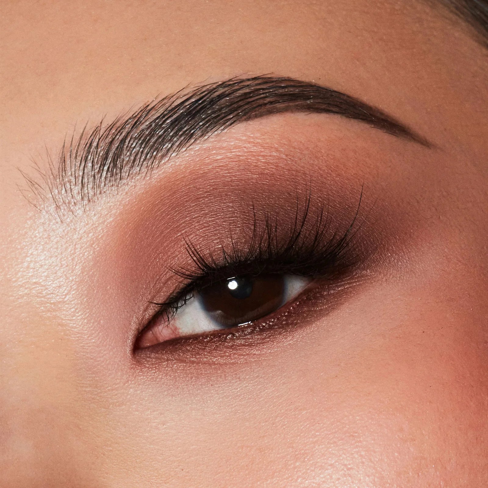 Major Dimension Eyeshadow Palette