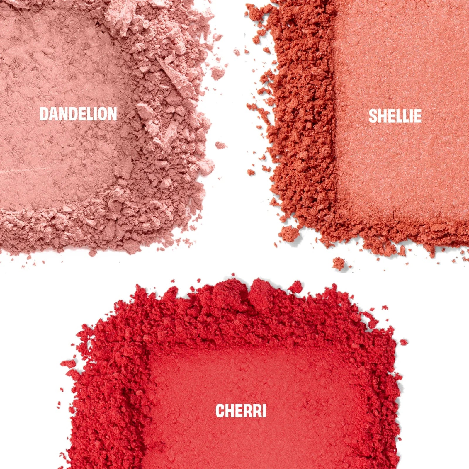 Chocolotta Blush Palette