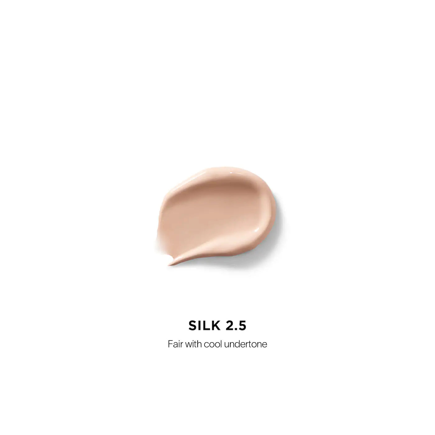 Vanish Airbrush Concealer