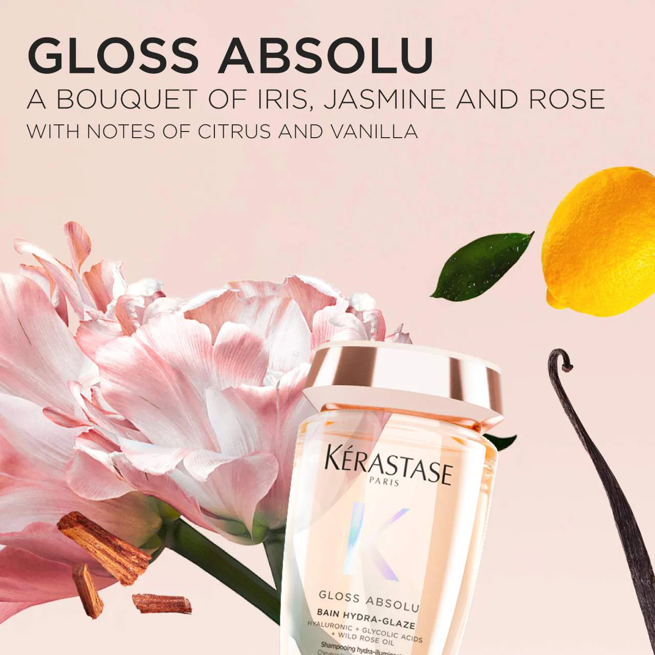 Mini Gloss Absolu Dúo