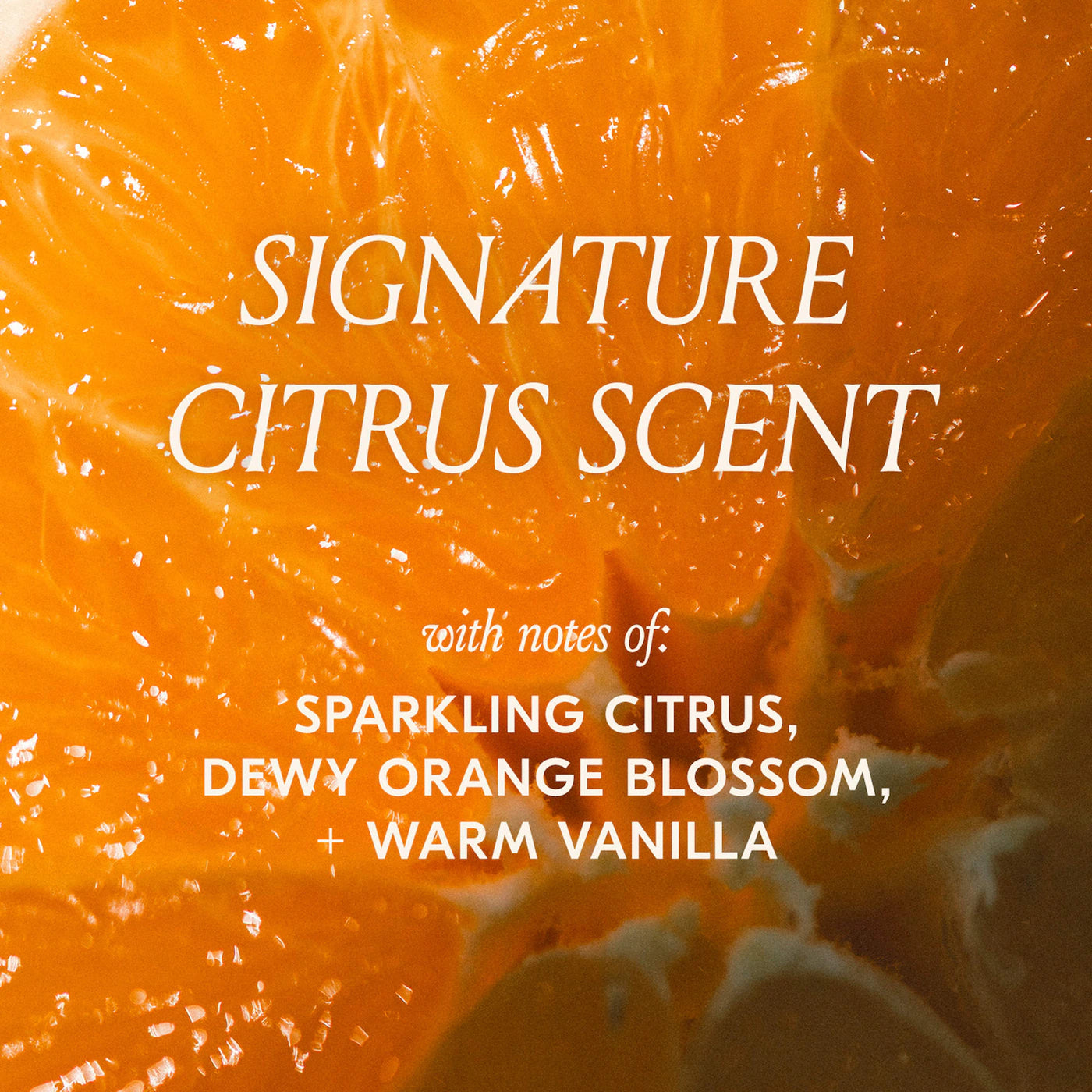Citrus Twist Duo